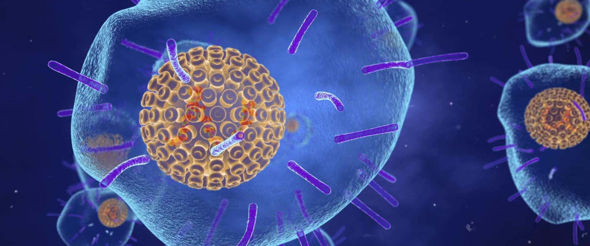 Exploring the History of Chickenpox and Shingles